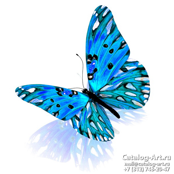  Butterflies 113